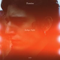 Tamino - Indigo Night