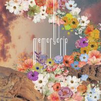 Memorydrip - memorydrip