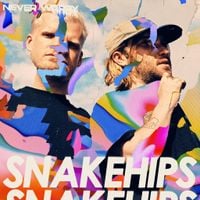 Snakehips - never worry