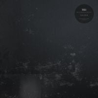 How to Disappear Completely - Colder