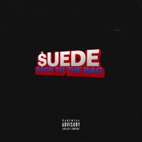 MoneySign Suede - BACK TO THE BAG