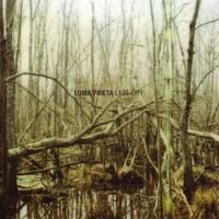 Loma Prieta - Last City