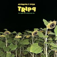 Azahriah & DESH - tripq