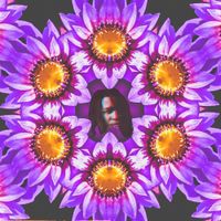 Rey Morado - BLOOM!