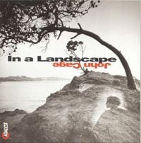 Stephen Drury - In a Landscape