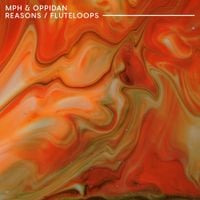 MPH - Reasons & Fluteloops