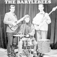 The Bartlebees - The Bartlebees