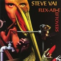 Steve Vai - Flex-Able Leftovers