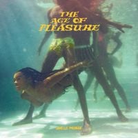 Janelle Mon&aacute;e - The Age of Pleasure