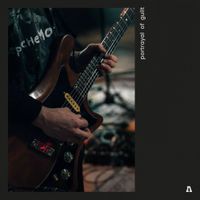 Portrayal of Guilt - Portrayal of Guilt on Audiotree Live