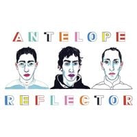 Antelope - Reflector