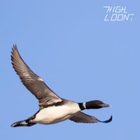 Woody Goss - High Loon!