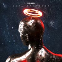 Hekler - Data Transfer