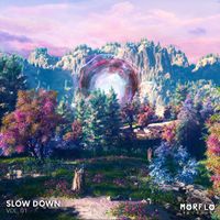 MorFlo Records - Slow Down, Vol. 01