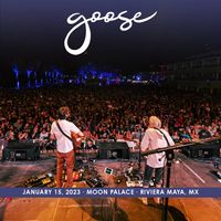 Goose - 2023​/​01​/​15 Moon Palace, Riviera Maya, MX