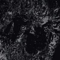 P.H.O.B.O.S. - Atonal Hypermnesia
