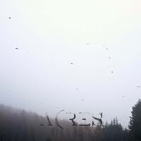 Acres - Solace