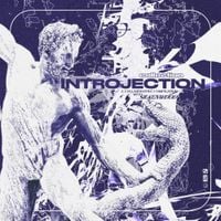 Various Artists - COLLECTION: INTROJECTION