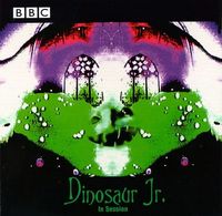 Dinosaur Jr. - In Session