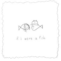 corook - if i were a fish