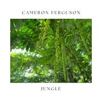 Cameron Ferguson - Jungle