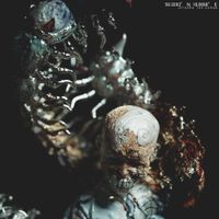 Istasha - Swallowing Centipedes