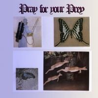 Giovanni Di Domenico, Bal&aacute;zs P&aacute;ndi, Gon&ccedil;alo Almeida & Giotis Damianidis - Pray for Your Prey