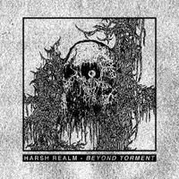 Harsh Realm - Beyond Torment