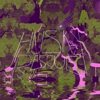 Husky Rescue - Ship of Light