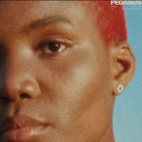 Arlo Parks - Pegasus