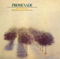 Kevin Burke & M&iacute;che&aacute;l &Oacute; Domhnaill - Promenade