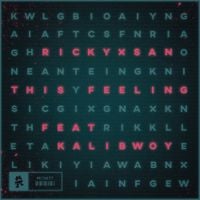 Rickyxsan - This Feeling
