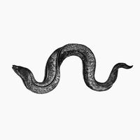 Angela Seo - EEL