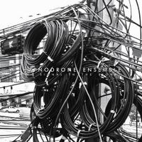 Hypnodrone Ensemble - The Signal in the Signal