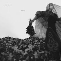 ASH ISLAND - ROSE