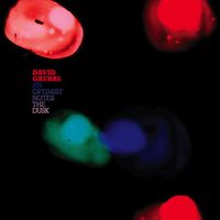 David Grubbs - An Optimist Notes the Dusk