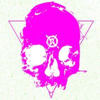 The HIRS Collective - The First 100 Songs