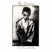 The Auteurs - Now I'm a Cowboy