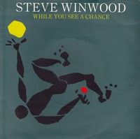 Steve Winwood - While You See a Chance