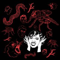 Bush Tetras - They Live in My Head
