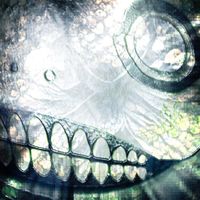 blottter - Flux