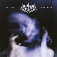 Calligram - Position | Momentum