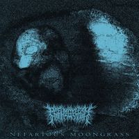 PeelingFlesh - Nefarious Moongrass