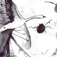 Totorro - EP