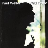 Paul Weller - Wild Wood