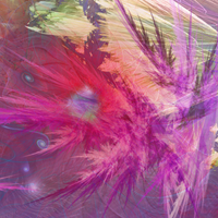Trial of the Golden Witch - FRACTALS