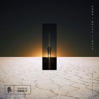 DNMO - Blinding