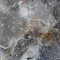 Dirk Serries - Fluctuation Of Being