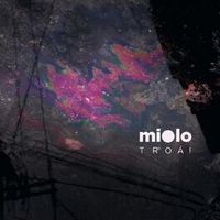 Troá! - Miolo
