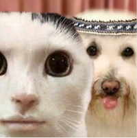 M0ViE - we da best ?? nah, U da best !!!!!!!